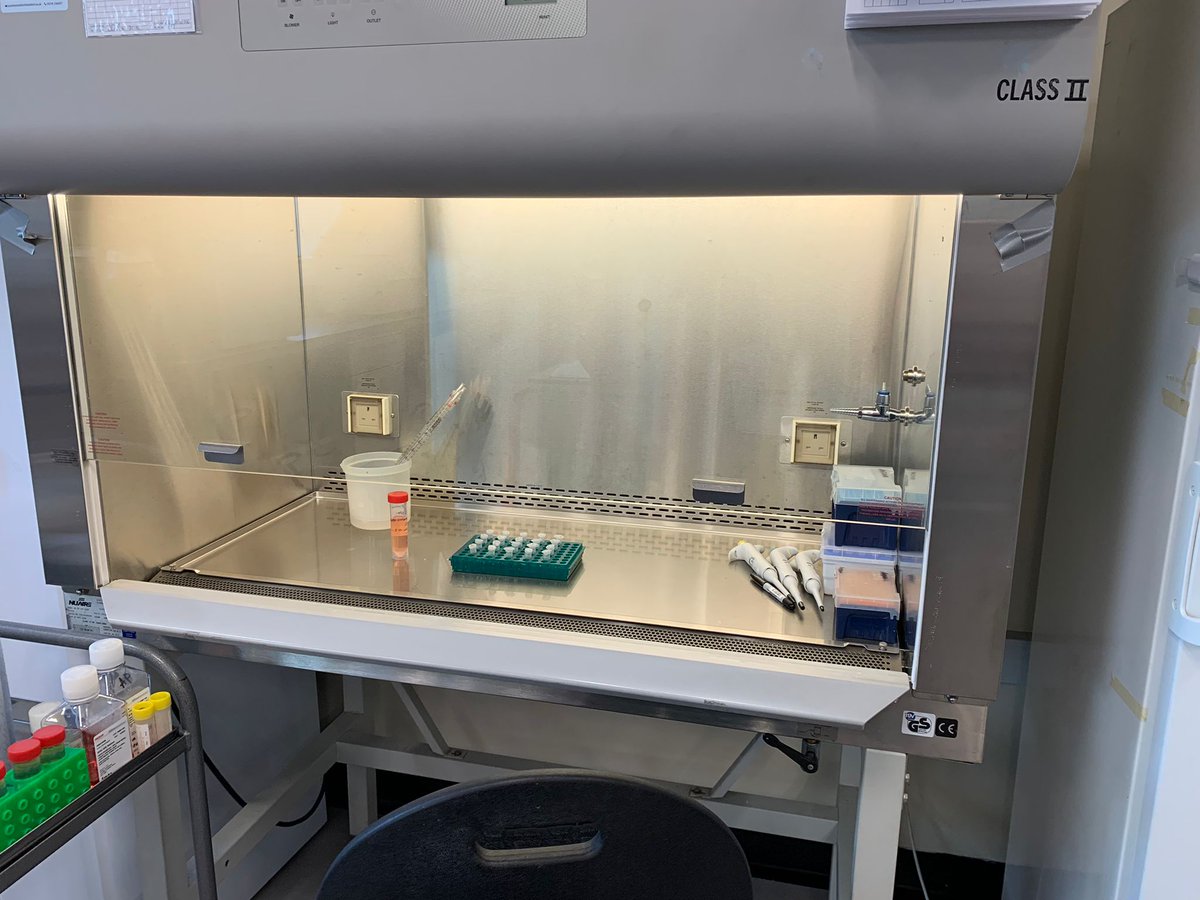 Hannah_L_Moody's tweet photo. Our work at @ICT_Bradford may be lab based 🥼🔬, but we value the patient voice in our research. We focus on researching many #rarecancers, being rare shouldn't mean people don't get the same chance. #CloseTheCareGap #WorldCancerDay https://t.co/Jv8j56pELg