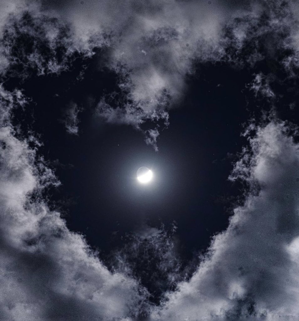 antoniorigor16's tweet photo. I hope there are days
Where your coffee tastes like magic
Your playlist makes you dance
A stranger makes you smile
And the night sky touches your soul
I hope you fall in love with being alive again https://t.co/pkygs7o6ku
