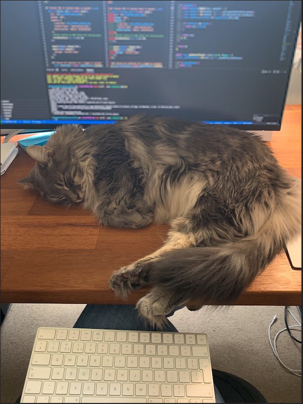Seems like an effective try - cat(ch) between chair and keyboard for a Friday!
#purrprograming