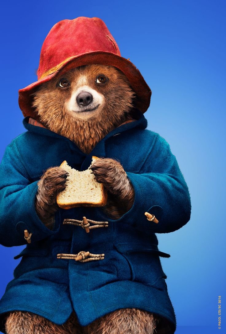 I'm pretty sure Paddington and Spider-Man would get along well. https://t.co/scZ4ec0mXp