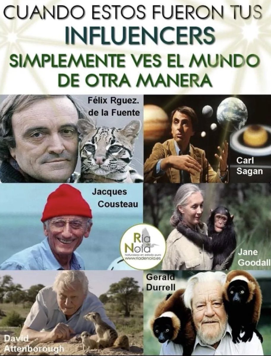 Tengo o no tengo razón? 👍🏻☺️
#Influencers #comohemoscambiado