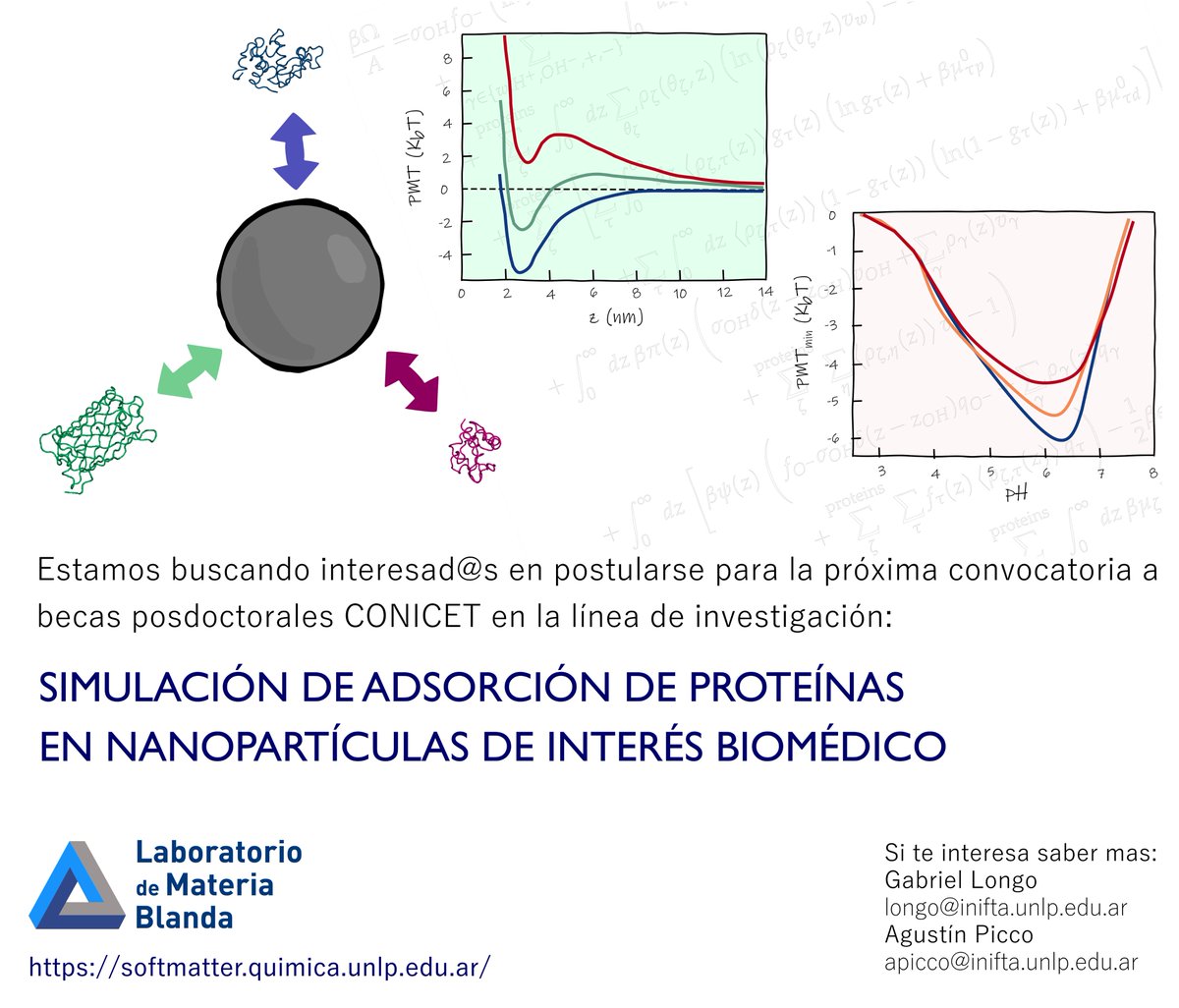 Agustin Picco (@apuiesus) on Twitter photo Estamos buscando interesadxs en postularse a beca postdoctoral CONICET para estudiar la formación de coronas proteicas sobre nanopartículas y su estabilidad coloidal en fluidos biológicos.
<a href="/softmatterlab/">SoftMatterLab</a> <a href="/unlp/">UNLP</a> <a href="/exactas_unlp/">Exactas | UNLP</a> <a href="/CONICETDialoga/">CONICET Dialoga</a> <a href="/CONICETLaPlata/">CONICET La Plata</a>
<a href="/LatinXChem/">LatinXChem</a> <a href="/inifta_ok/">INIFTA</a> Estamos buscando interesadxs en postularse a beca postdoctoral CONICET para estudiar la formación de coronas proteicas sobre nanopartículas y su estabilidad coloidal en fluidos biológicos.
<a href="/softmatterlab/">SoftMatterLab</a> <a href="/unlp/">UNLP</a> <a href="/exactas_unlp/">Exactas | UNLP</a> <a href="/CONICETDialoga/">CONICET Dialoga</a> <a href="/CONICETLaPlata/">CONICET La Plata</a>
<a href="/LatinXChem/">LatinXChem</a> <a href="/inifta_ok/">INIFTA</a>
