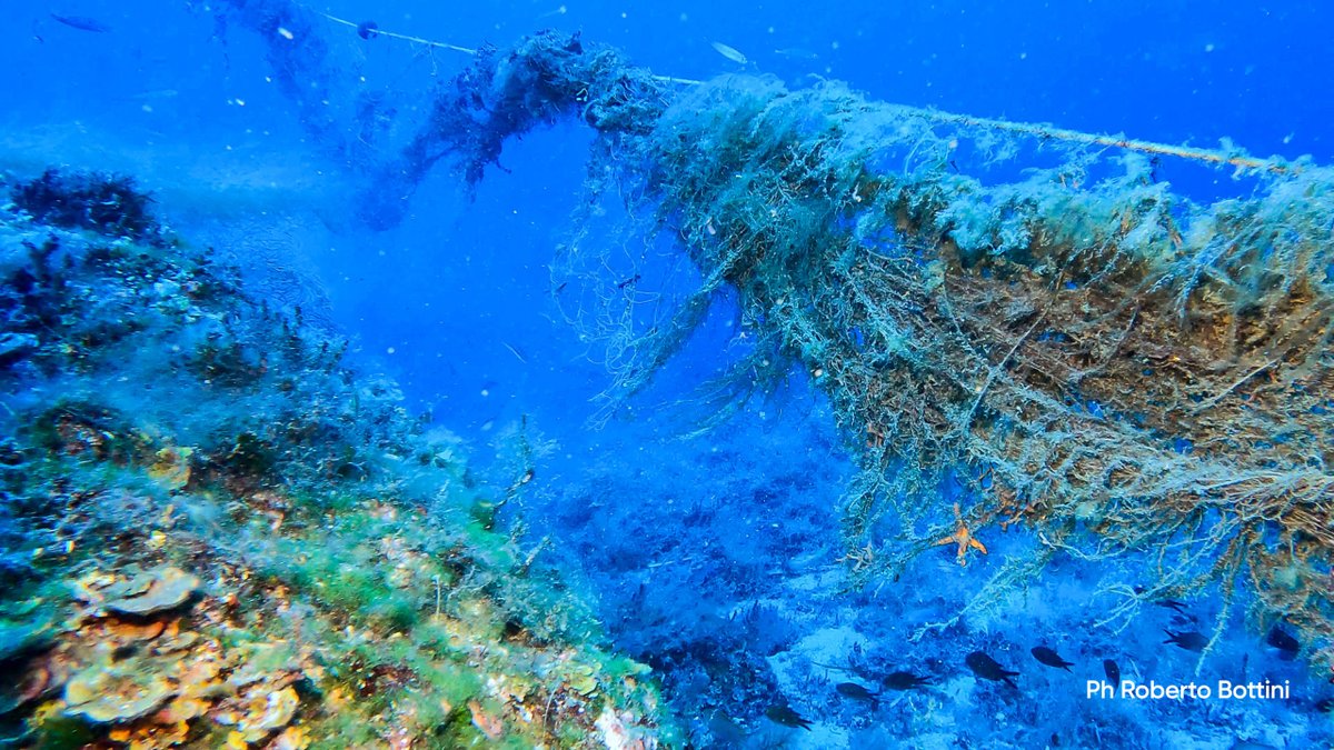 _cc_network's tweet image. Ghost nets series ☠️- Today we highlight 
@TuscanyEnviron1
 and its support to recover waste and abandoned fishing nets from the deep waters around the Italian island of Giglio. Well done!! tuscanyenvironment.org/grants/giglio-…