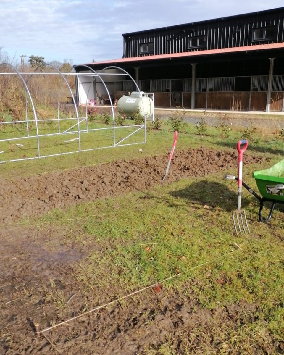 Aceproject1's tweet photo. The hard work of the students and staff at The Patch our horticultural/land based studies area is paying off. Spring is coming and the ground is being prepared for a great growing (and learning!) season.
#horticulture
#landbasedstudies
#adultlearning
#placesavailable https://t.co/eGEtlpe1xM