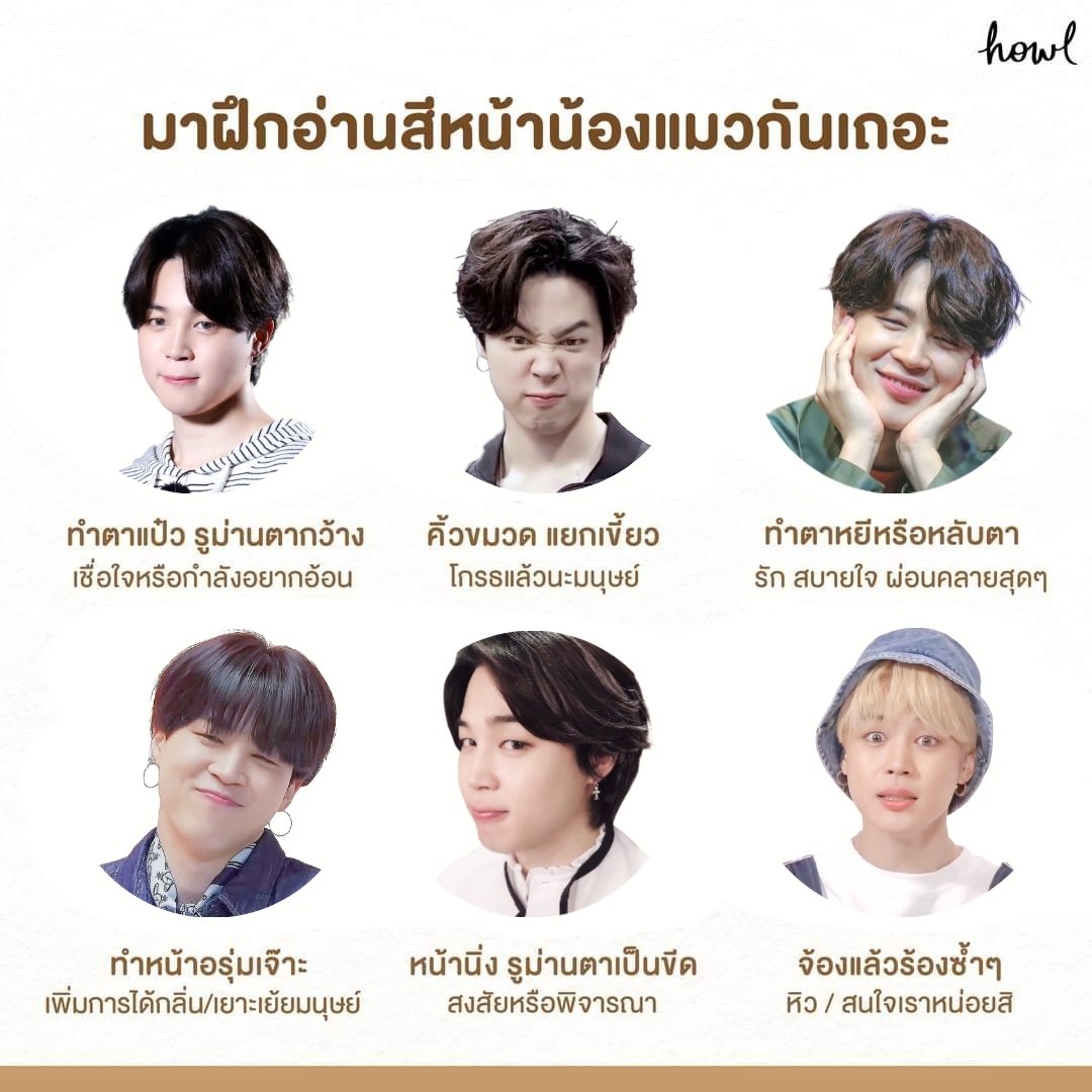 ลูกแมวตัวนี้ดื้อ ซน ขี้อ้อน น่ารัก แสนดี รวมๆแล้วดีต่อใจคนเลี้ยง