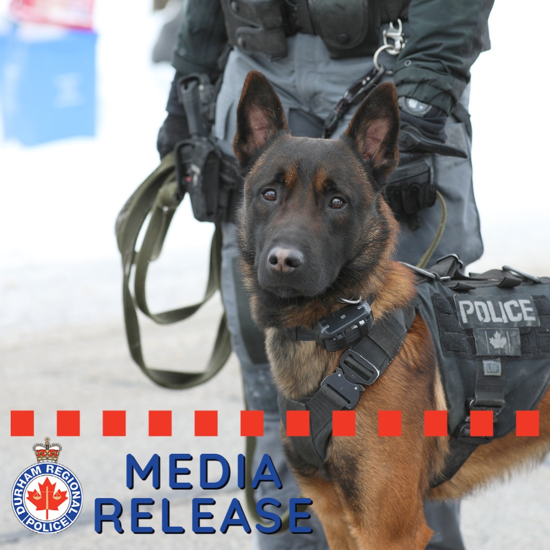 Officers from <a href="/DRPSEastDiv/">EAST DIVISION - Durham Regional Police Service</a> with the assistance of  <a href="/DRPS_K9/">Durham Regional Police Service K-9 Unit</a> arrested a female suspect, seized an imitation firearm and other evidence after a convenience store robbery in Clarington Thursday afternoon. 

News Release - bit.ly/3uyHYdY