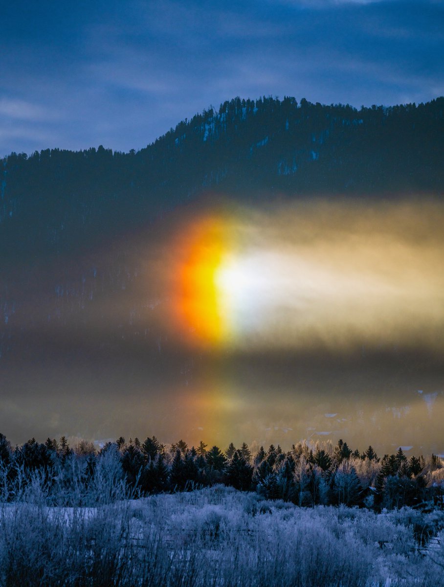 here’s something I had never seen before— a winter fog rainbow 🤯