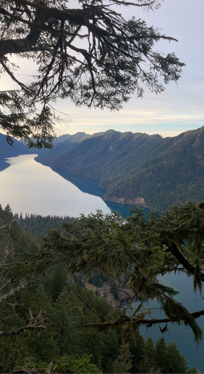 Washington is beautiful