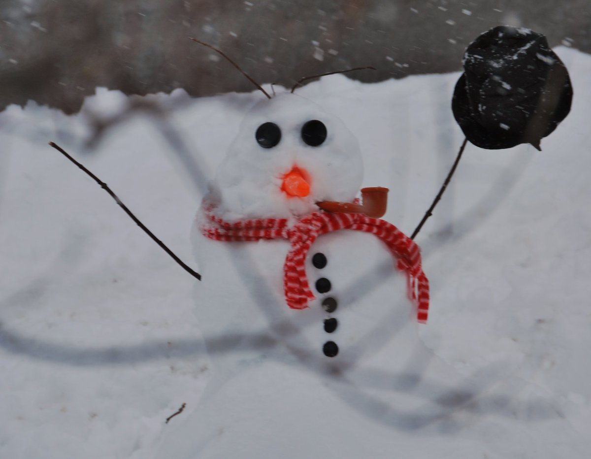 justbrowsingthr's tweet image. Good morning 
#snowday