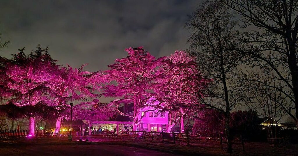 Terry Tew Sound & Light tweet media