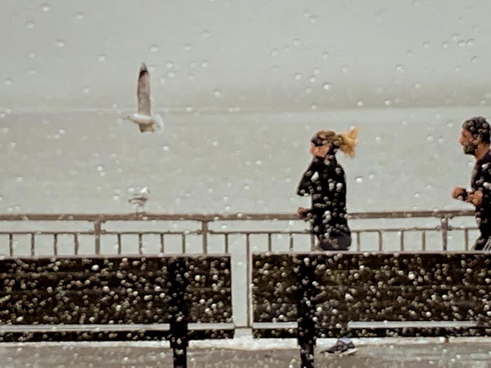AlpertOlive's tweet photo. Olive Alpert PortDev2022
AndTheWinnerIsTheSeaGull
#Runners,#He, #She, #SeaGull, #Railing, #Benches, #Water, #Rain, #StatenIslandInTheFog https://t.co/AjoGPjcqhn