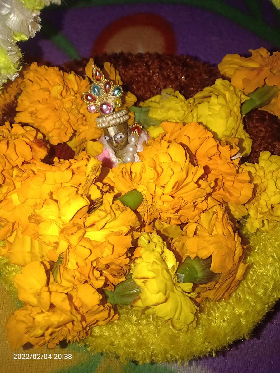 Geetanjali151's tweet photo. आज मेरे लिए बहोत महत्वपूर्ण दिन हैं।प्रभा दीदी और गीतांजली दीदी दोनों का  बहोत प्यार और साथ मिला...कान्हा को भोग लगाकर ओर फूलों से सजा कर आज का दिन हमने यादगार बनाया।
परमजीत जी,धर्मेंद्र भाई जी आपका भी बहोत आभार 🙏
हम सबको मिलके हिंदुत्व की आग चारो तरफ फैलानी हैं
#जयश्रीराम🚩 https://t.co/g9MEyZu7UL