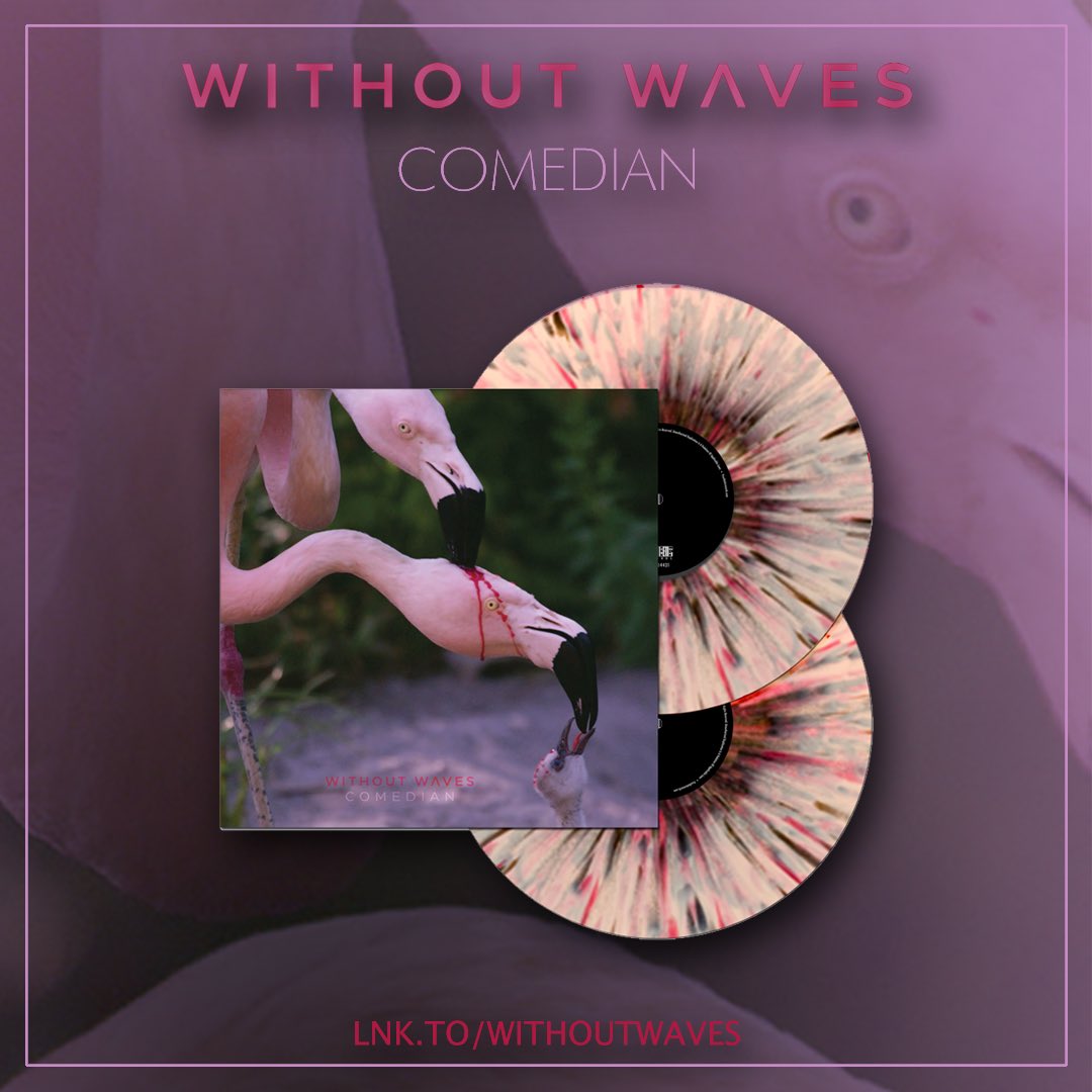 WithoutWaves's tweet photo. It’s Bandcamp Friday! Head over to our Bandcamp page to preorder our new album “Comedian” on Vinyl, CD or digital formats
https://t.co/73xobKDgDi
#BandcampFriday #withoutwaves #comedian #prostheticrecords #metal #progmetal #postmetal #newmusic #newalbum https://t.co/6hRmYLtzpZ