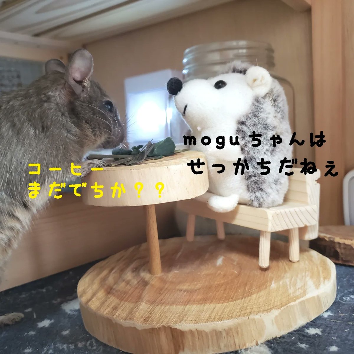 HandmadeMoguMo1's tweet photo. moguママ製作の『アフタヌーンティーテーブル&amp;ベンチセット』でございます。まだまだ駄目なところ満載ですがママ個人の自己満足でほしくて作ってみました(笑) https://t.co/X4NT0NQjTV