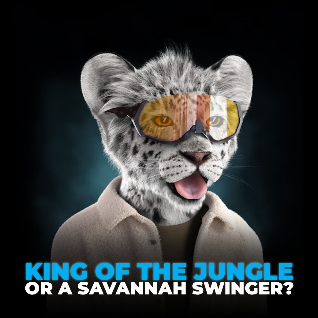 The Royal Cubs tweet media