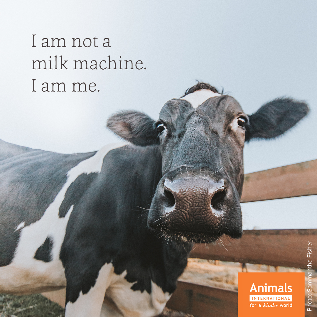 Animals are with us, not for us. Help create a kinder world today 🙏