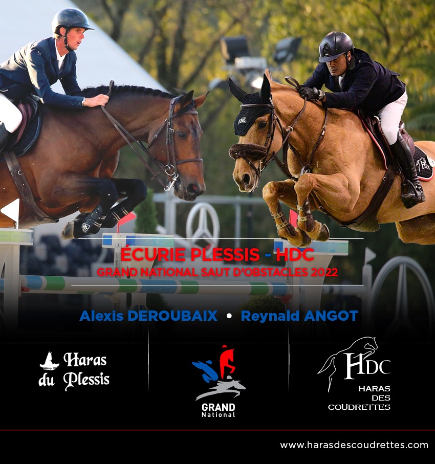 Haras des Coudrettes (@hdcoudrettes) on Twitter photo 