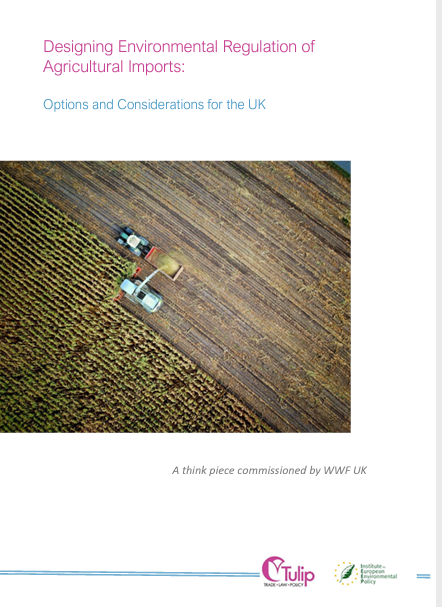 Tulip_Tweets_'s tweet photo. How can #UK safeguard high environmental standards in domestic and imported agri-food products?

@Tulip_Tweets_ and @IEEP_eu explore this important question in a Think Piece commissioned by @wwf_uk. Read it here: https://t.co/9Dgwsh6kdL. https://t.co/ZPvqckAhdX