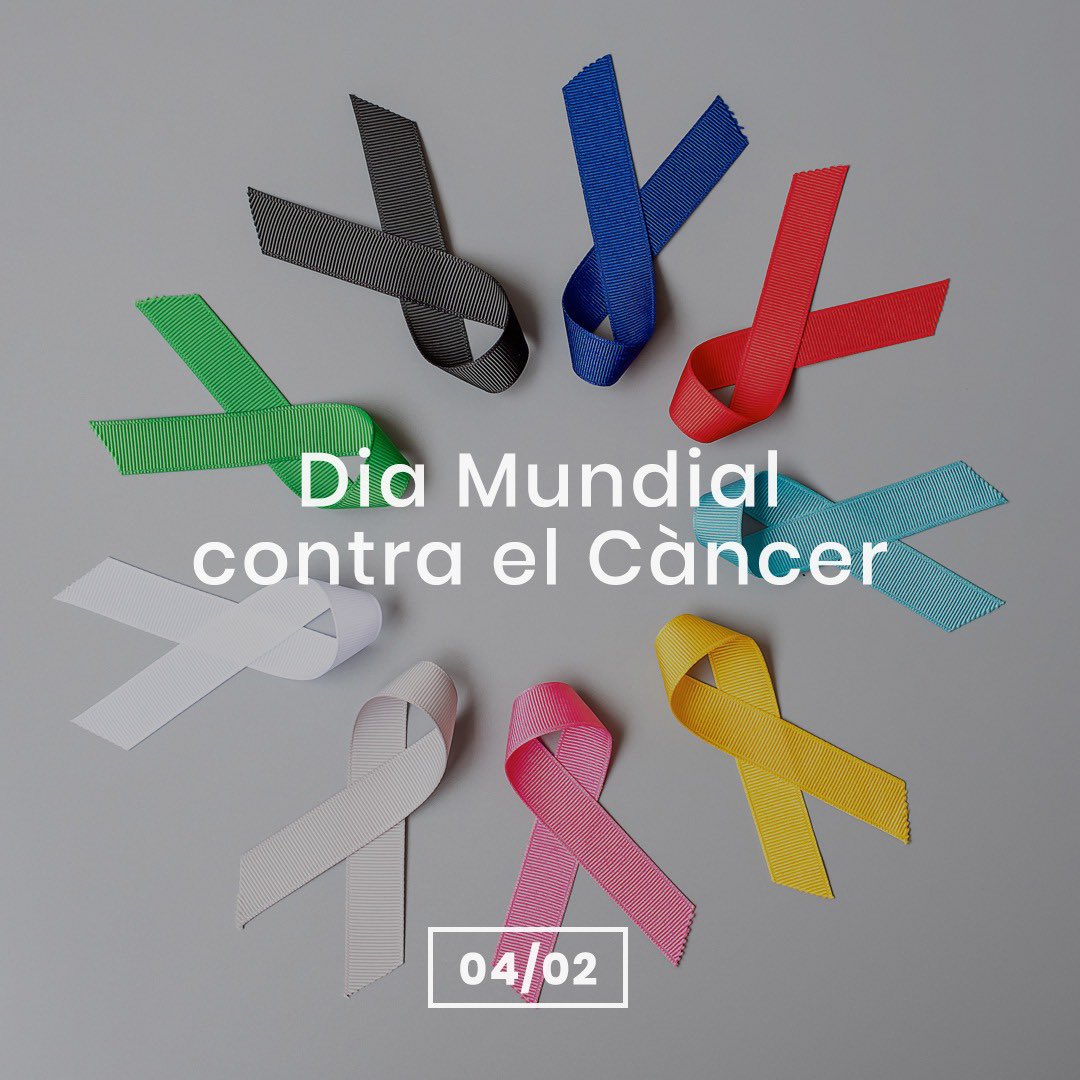 El Pi Alcúdia tweet media