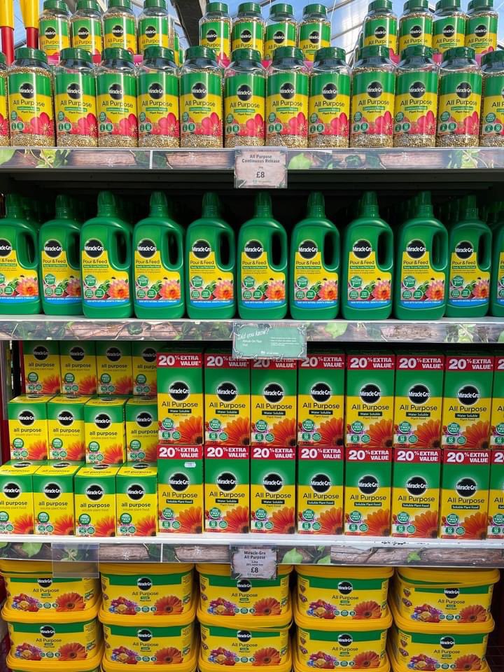 SummerhillGC's tweet image. Snowdrops are like a starting pistol for the growing season, they can always be relied upon to produce gorgeous January flowers that will flourish right through until March. #springbedding #beddingflowers #lovetogarden #gardeningknowhow #howdoesyourgardengrow #summerhillgc