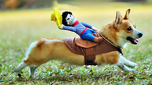 Crazystone's Pet COWBOY Funny Costume Apparel with 1 Hat (Medium) order.sale/XXwf (via Amazon)