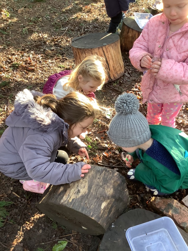 St Michaels Stone tweet media