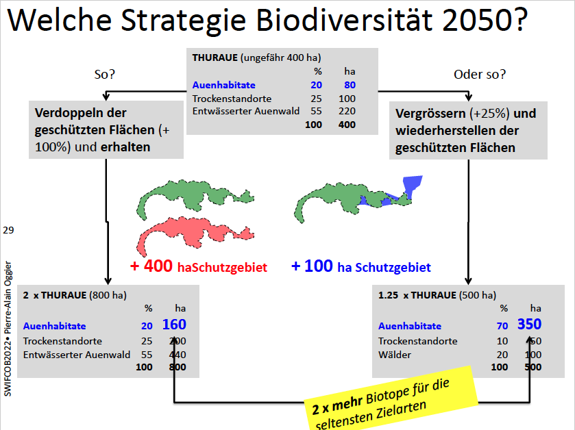 biodiversityCH's tweet photo. 30x30 Flächenziele für #Biodiversität- erhalten oder wiederherstellen? Es braucht beides- von Konfettis zum Puzzle, Mut zu grossen Projekten, Enteignungen auch für Natur! 

Pierre-Alain Oggier, Projektleiter Rhone im Pfynwald, Dienststelle Nationalstrassenbau im Wallis
#swifcob22 https://t.co/YHrtt2aapx