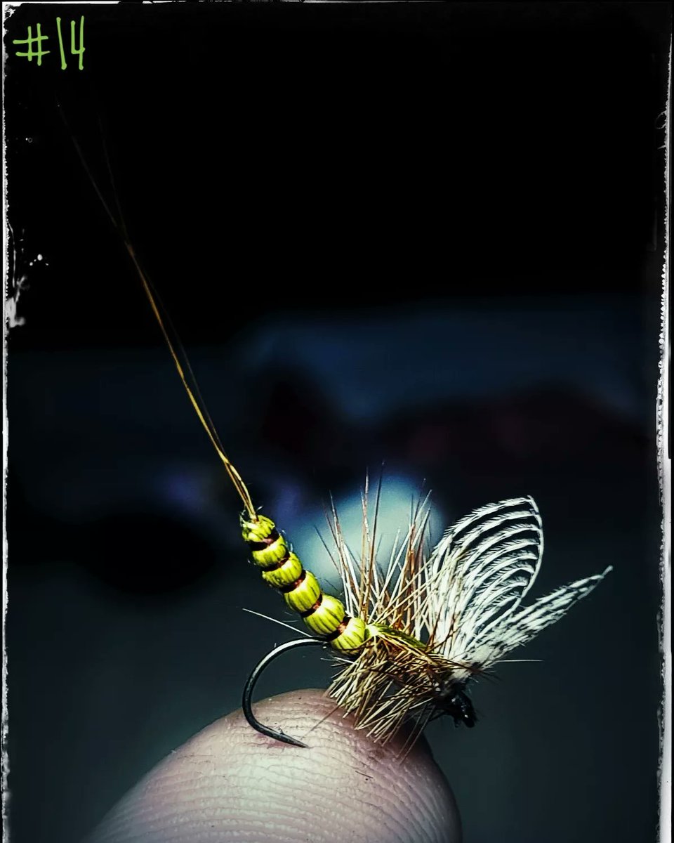 Outdoor Transylvania Fly Fishing Romania (@FlyOutdoor) / Posts / X