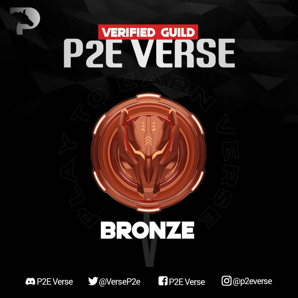 p2eVerse tweet media
