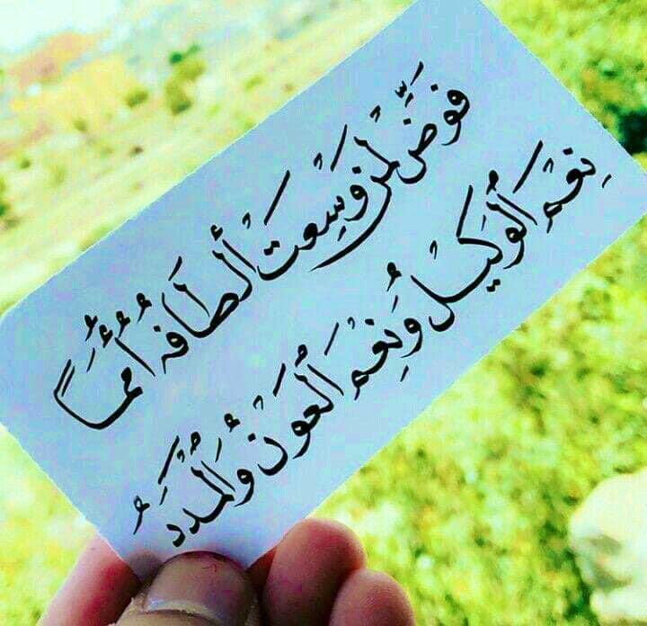 يا قاضيَ الحاجاتِ جئتُكَ راجياً
كم حاجةٍ أطوي عليها أضلعي

أنتَ العليمُ بما طويتُ، وكلما
ناءتْ بهِ شفتايَ، نابتْ أدمعي

جُدْ بالرّضا فرضاكَ أعظمُ حاجةٍ
هوَ مُنتهىٰ أملي وغايةُ مطمعي..!
.