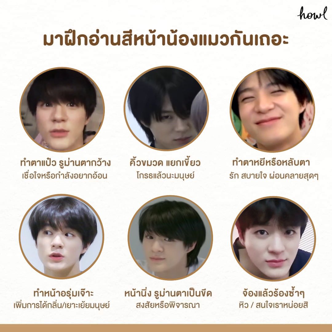 จะมีใครเอาไปเลี้ยงดู หน้าแมวก็ดูมู่ทู่( ̳• ·̫ • ̳)