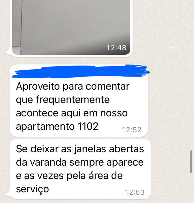 aomsevero's tweet photo. Eu ainda não acredito que isso não foi meme e que eles estavam seriamente falando sobre TUFOS DE CABELO no grupo de WhatsApp do condomínio.

MEU FILHO PASSE UMA VASSOURA NA SUA CASA E PRONTO https://t.co/XIDahGpXQs