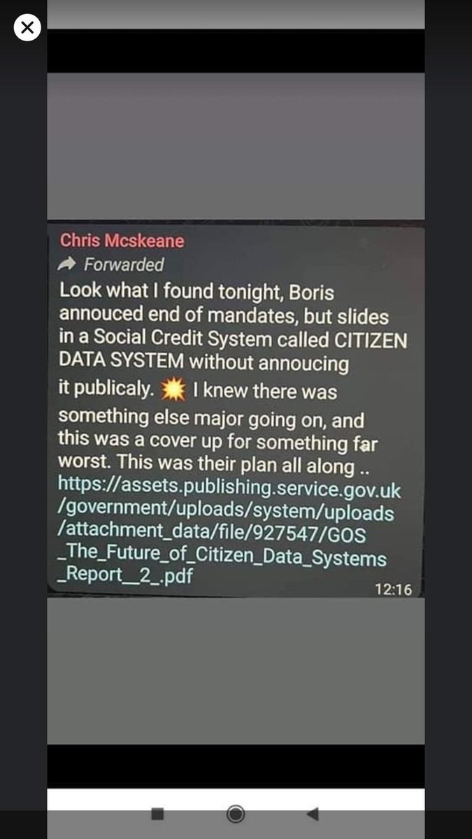 Sierra Rodgers tweet media