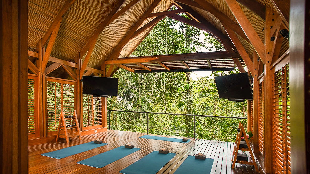 Pictured: a real live jungle gym at Amor Arenal, a unique Costa Rican hideaway at the foothills of the Arenal Volcano.

Click below to ask a real human Protravel advisor about luxury hotels in soulful destinations with incredible fitness centers:

tl.formstack.com/forms/protrave…