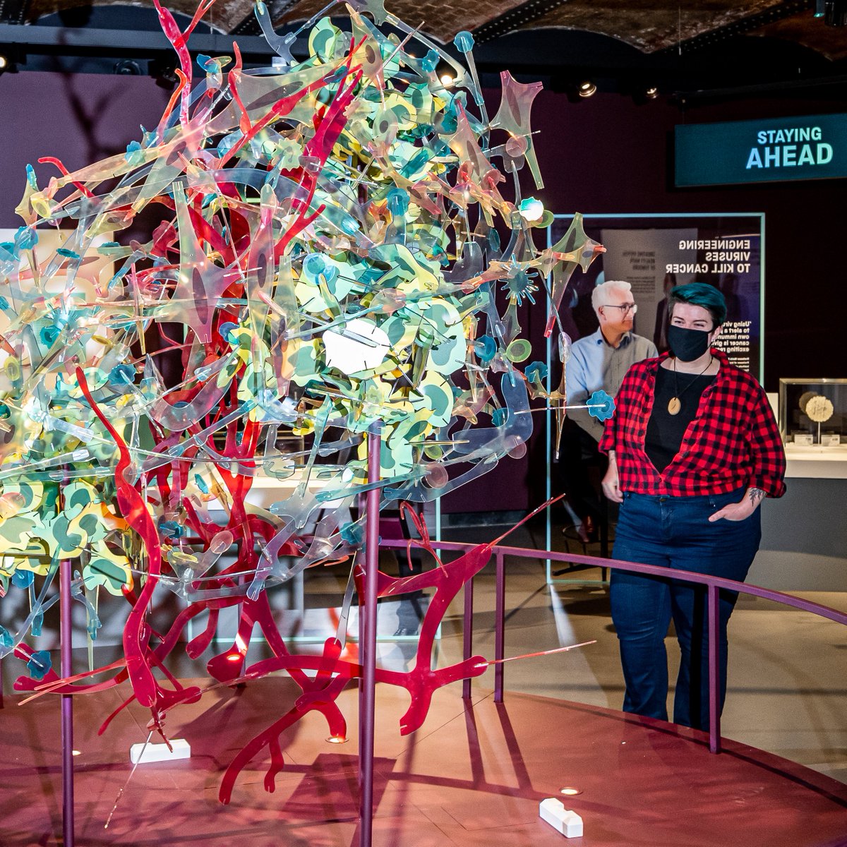 sim_manchester's tweet photo. This #WorldCancerDay we're pleased to announce a unique after-hours event inspired by our Cancer Revolution exhibition.

Join us on Wed 9 Mar for a programme of art and science, with performances, activities, talks and more.

Book your free ticket now: https://t.co/b2j7A6J7uj https://t.co/ceobfyh7a8