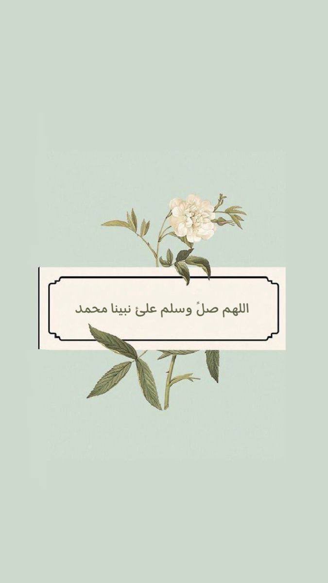 byad95's tweet photo. #لاتدور_زلتي1 https://t.co/VB9B1e3mRz
