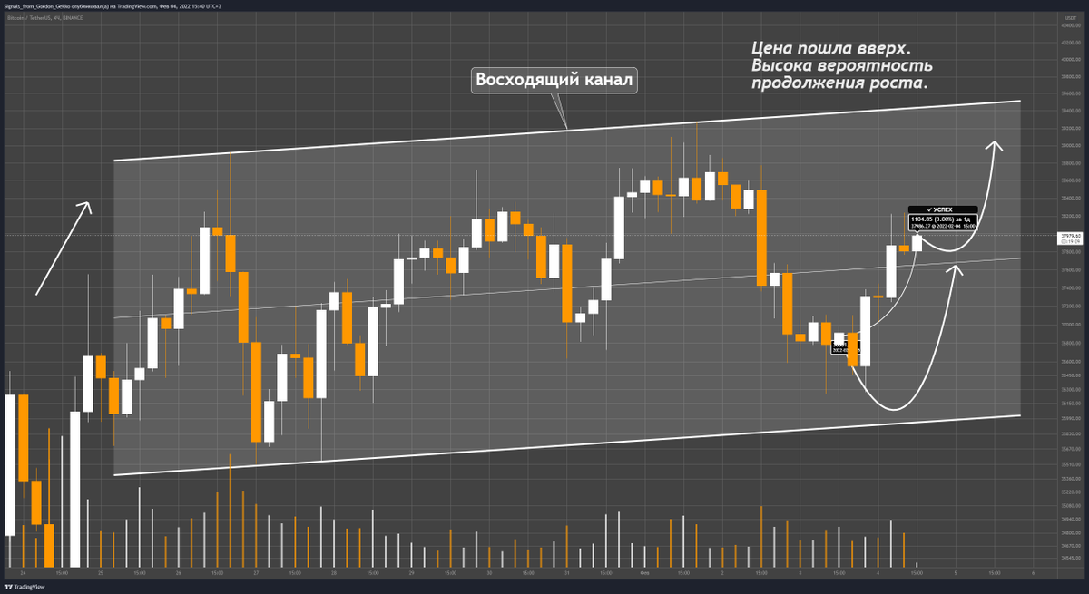 Signals From Gordon Gekko tweet media