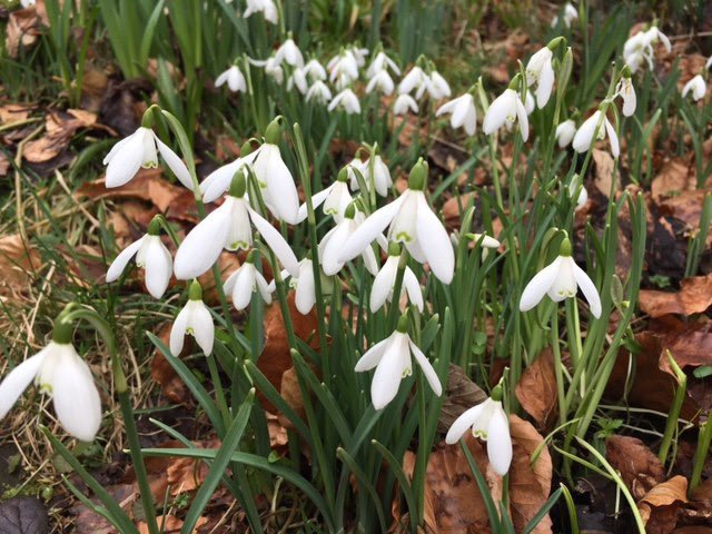 This Sunday we are back for our first Market of the year. A chance to find some fantastic local produce, you night even find a few little treats for valentines day too.

10.30am-2.30pm at Dumfries Railway Station. We can't wait to see you there!
