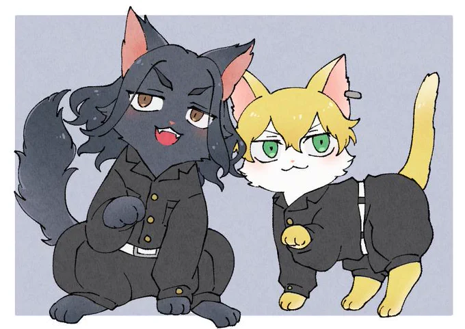 ばじ+ふゆ🐈🐾 