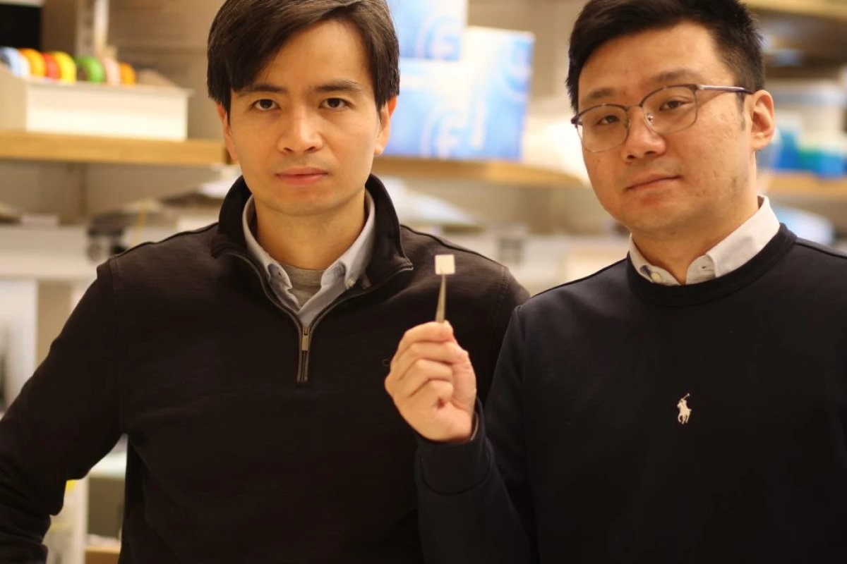 ENGins_Tissue's tweet photo. Piezoelectric Scaffold Boosts Cartilage Regeneration. A team of researchers at the University of Connecticut have developed a biomaterial scaffold that generates small amounts of electricity when compressed. The... https://t.co/Q9TTX2J0ro #TissueEng #YoE #Bio #ENGins https://t.co/uO17K7lguE