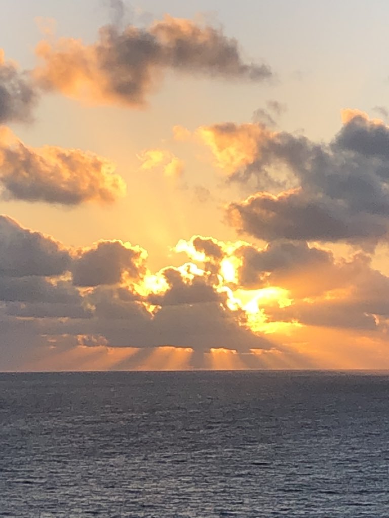 DrJackKruse's tweet image. Downloading todays instructions