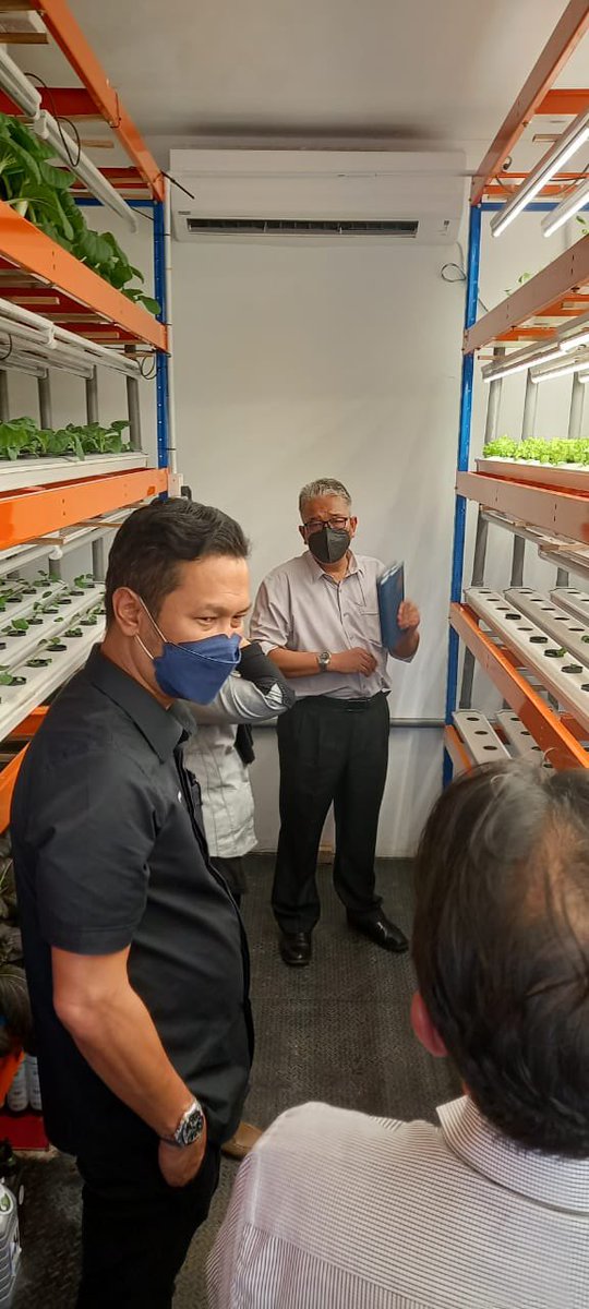 BpitSelangor's tweet photo. 04/02/2022, Jumaat, 3.00petang | Lawatan oleh Y.Bhg. @DatoZahimi , Ketua Pengarah Pertanian, @myDOA_HQ ke Pusat Pertanian Pintar @BpitSelangor meninjau perkembangan pelaksanaan pemerhatian projek “Veggie Factory” tanaman sayur daun 🥬 dan kontena cendawan 🍄. https://t.co/2F52MWukNr