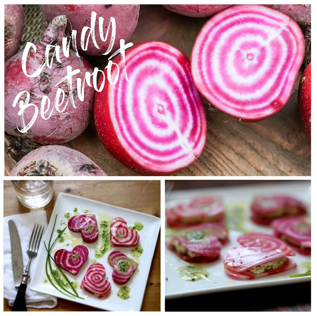 ftdorset's tweet photo. Candy beetroot is in season and available now. We love how pretty this looks!
.
.
.
#candybeetroot #lovebeetroot #delicious #countryfare #foodservice #freshthinking #valentinesday https://t.co/obzXVlRVgY