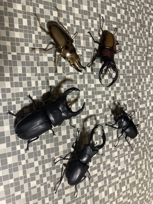 クワガタのtwitterイラスト検索結果