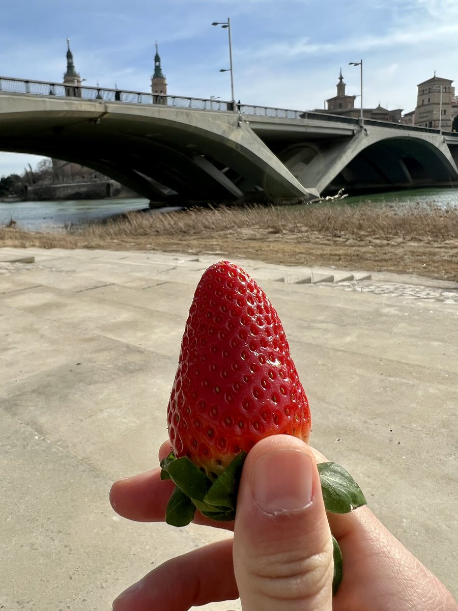 themacrowizard's tweet photo. Para mí, “ser millonario” son cosas como estas.

Levantarme sin alarma, comida al sol, buena compañía y tiempo para mí.

Los casoplones, coches rápidos y los relojes están genial, pero si es a costa de cosas como estas, me quedo con un bocata y unas fresas. https://t.co/cLt9nzmDUj