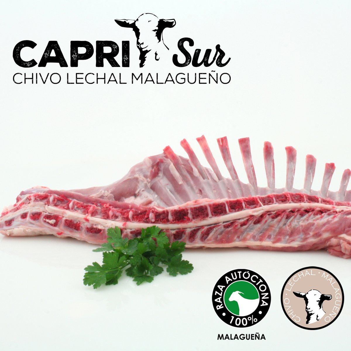 caprisur's tweet photo. En @caprisur ofrecemos diferentes cortes de #ChivoLechalMalagueño: piernas, paletillas, chuletitas…Una carne llena de posibilidades culinarias. Tu éxito es el nuestro. Te damos el mejor precio y calidad para tu negocio.
#HyT22 #HyT2022 #hytmalaga #calidad #gourmet #gourmetmalaga https://t.co/Fg4IJtdF70