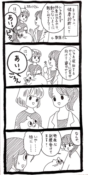 健診の様子 