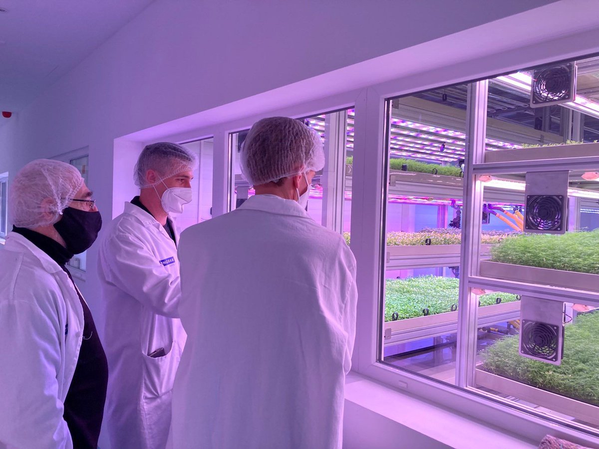 biopolus's tweet photo. We were happy to welcome the agricultural counsellor Koen van Ginneken and #circulareconomy policy officer Balint Horvath from @NLinHungary at the Tungsram #verticalfarm. 
We are very #proud to be partners in developing the future of urban #foodproduction with @tungsram_group! https://t.co/ytKWkBHy4i
