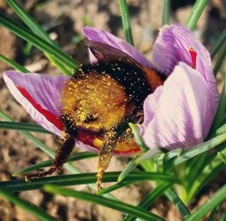 Claudia Quiñones tweet media