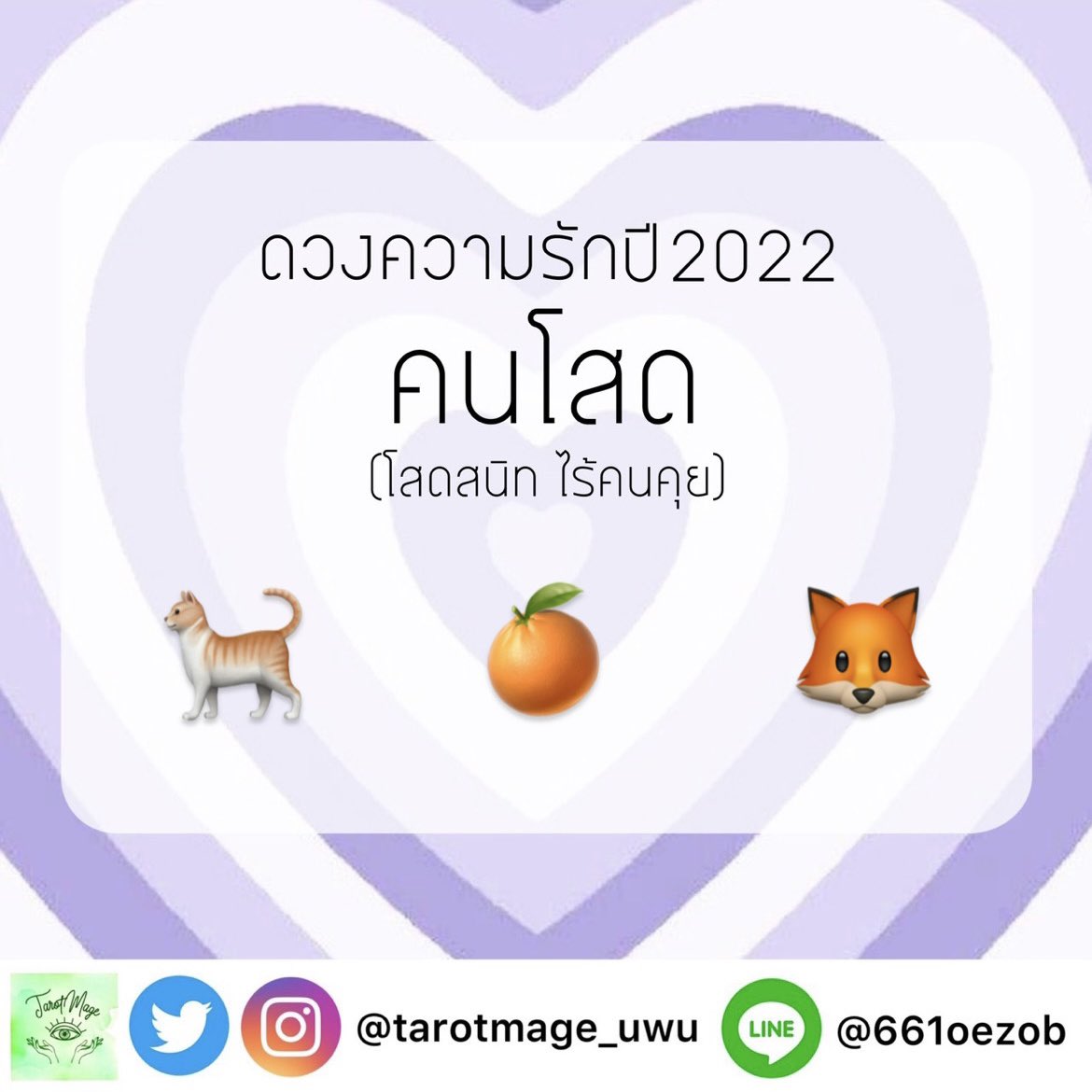tarotmage🍀 tweet media